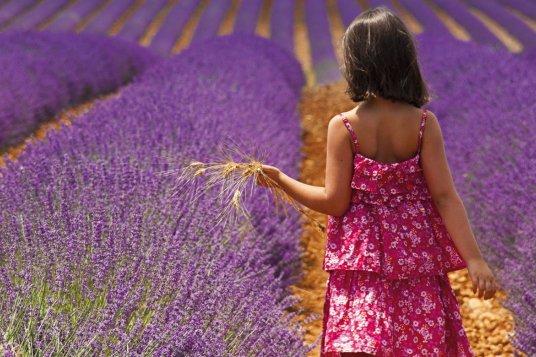 Eco-friendly accommodation in France
