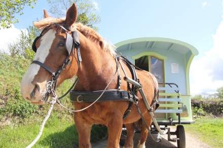 Gypsy-style caravanning in France